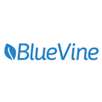 accounts receivable financing blue vine