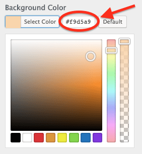 Salon Website: Copy Color Code