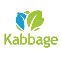 Kabbage-Improve Small Business Loan Application tips from the pros